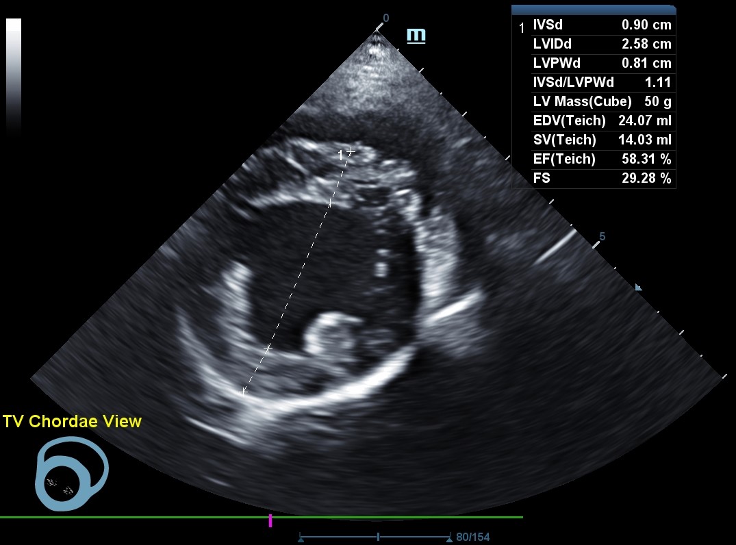 Advanced Diagnostics image